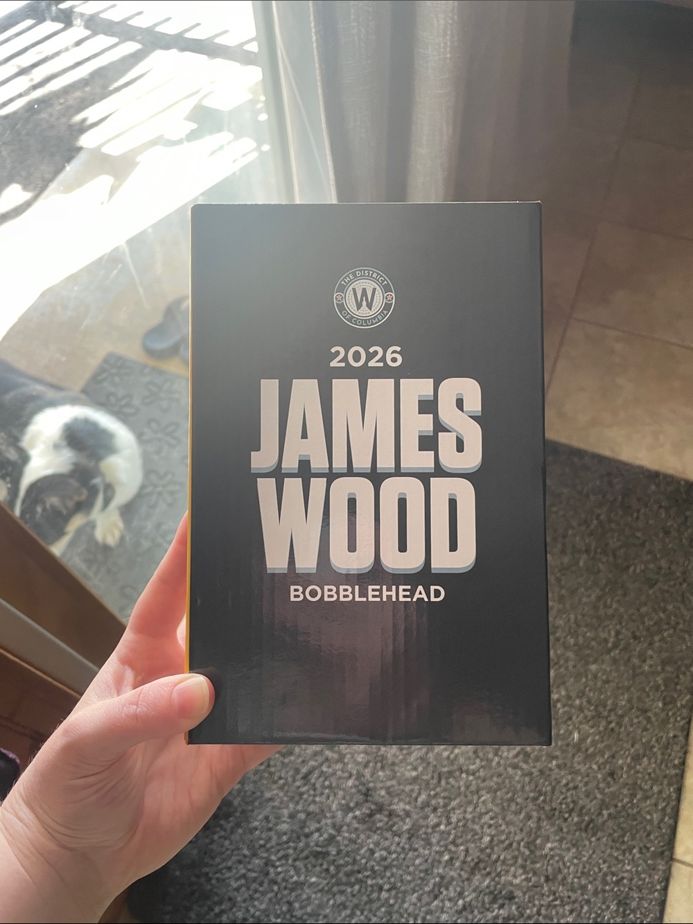 James Wood 2026 Bobblehead - Brand New in original box